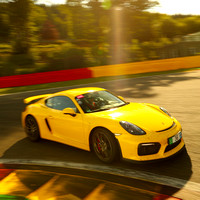 Porsche Colors